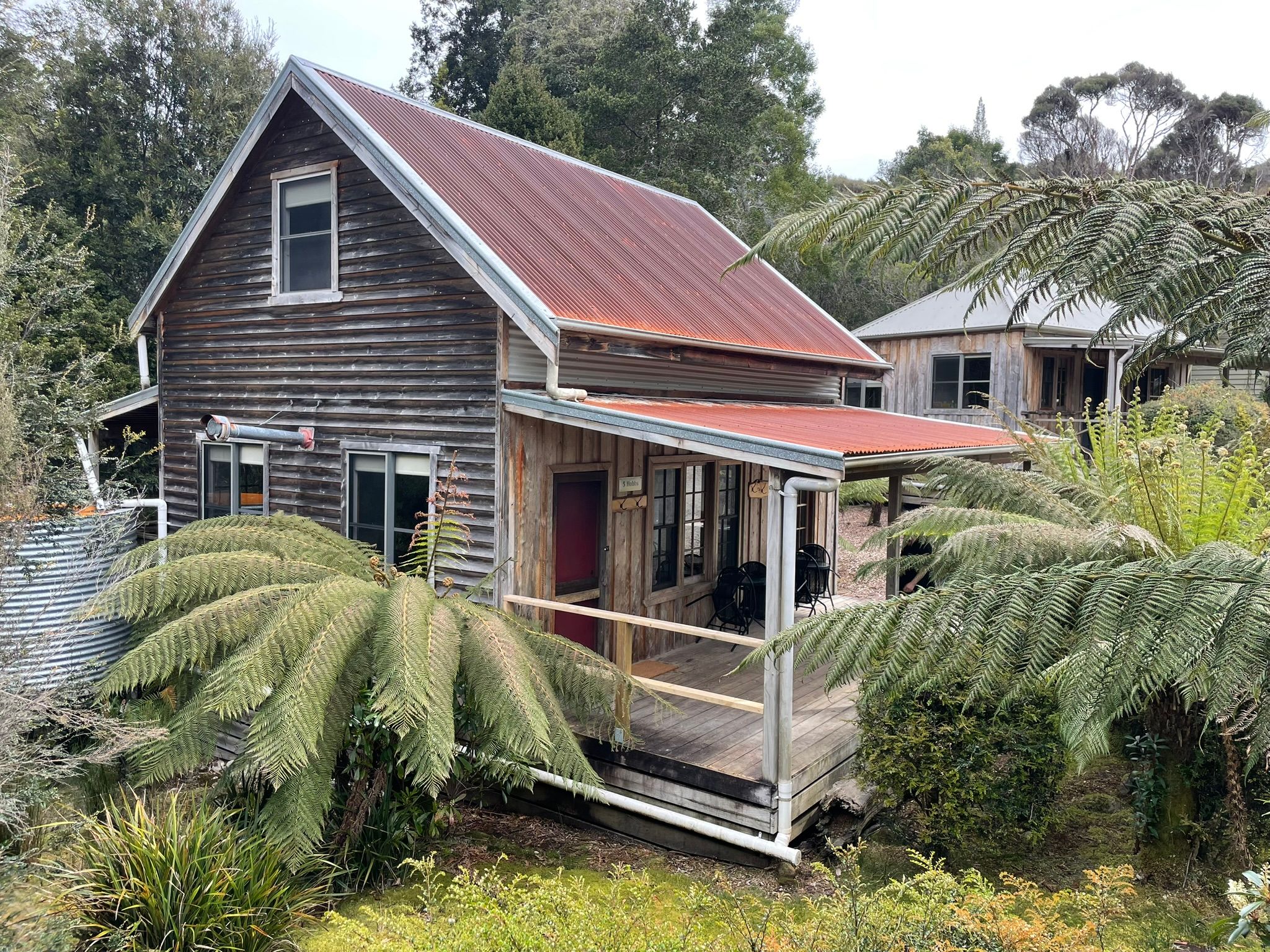 Ongerepte wildernis in West Tasmanië